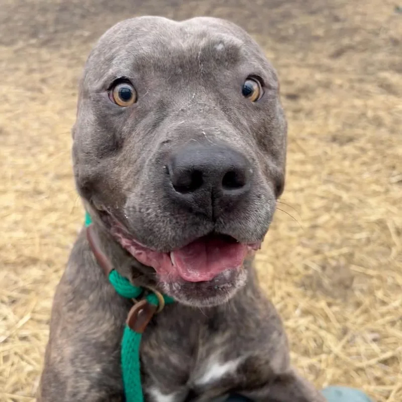 Ash ~ Coming Soon!!! thumbnail 6