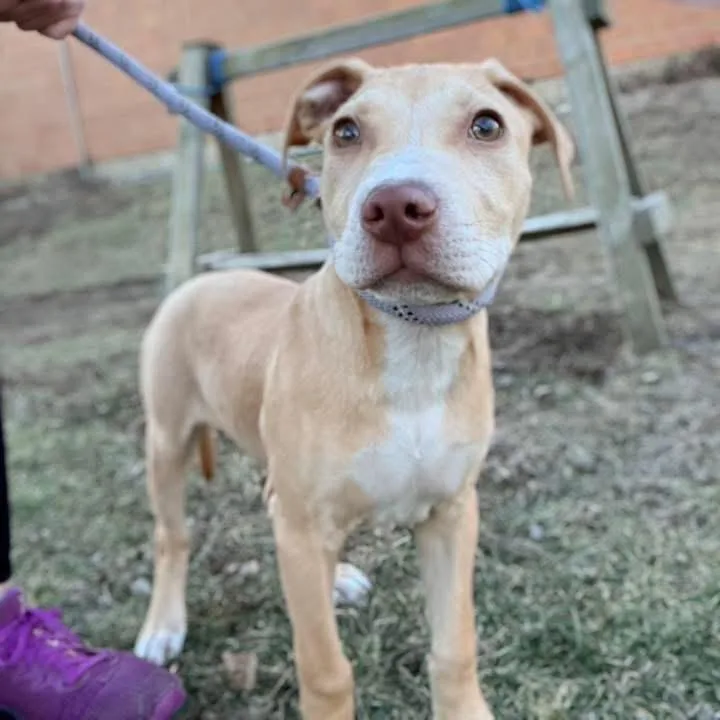 Stu ~ Coming Soon!!!