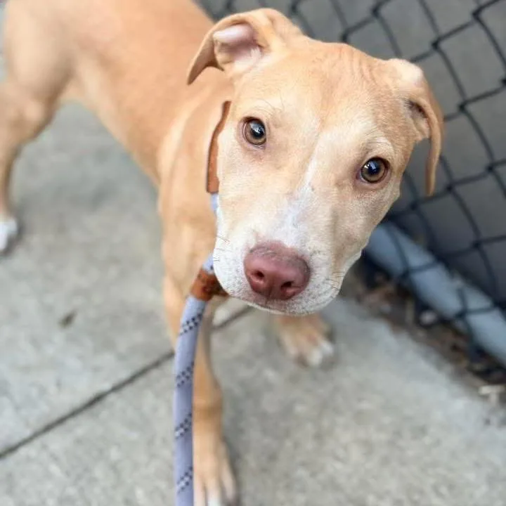 Stu ~ Coming Soon!!! thumbnail 5