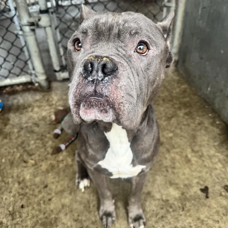 Ted ~ Coming Soon!!!