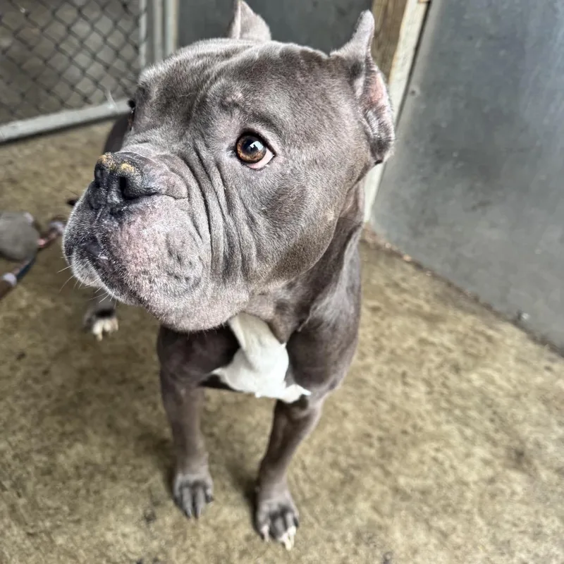 Ted ~ Coming Soon!!! thumbnail 2