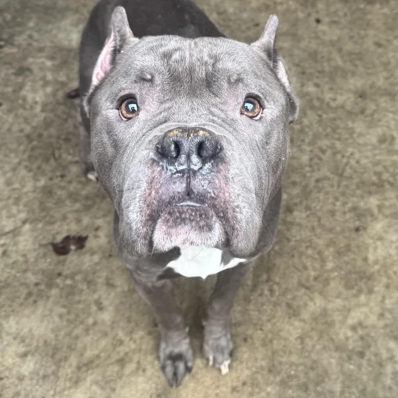 Ted ~ Coming Soon!!! thumbnail 3