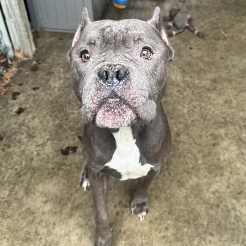 Ted ~ Coming Soon!!! thumbnail 4