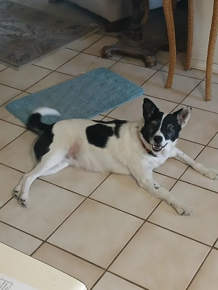 Missy Gdp thumbnail 2