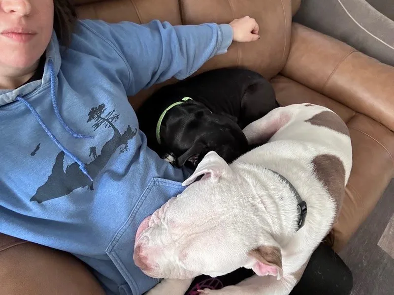 Jason Statham thumbnail 5