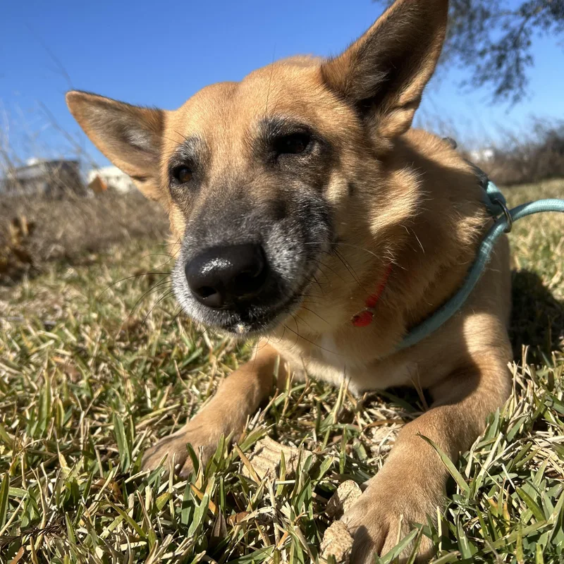 Miss Sally thumbnail 2