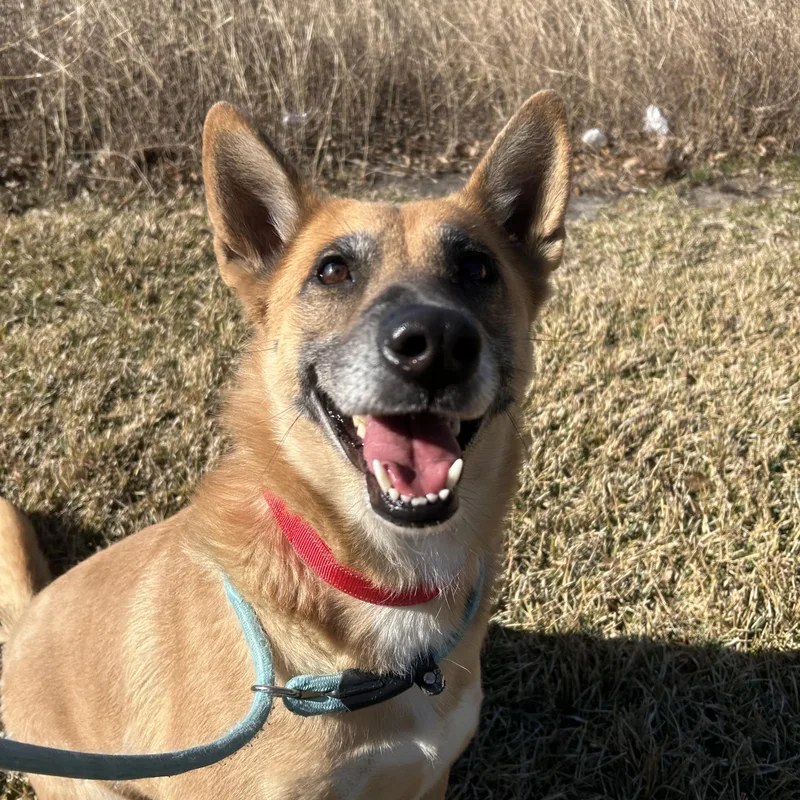 Miss Sally thumbnail 3