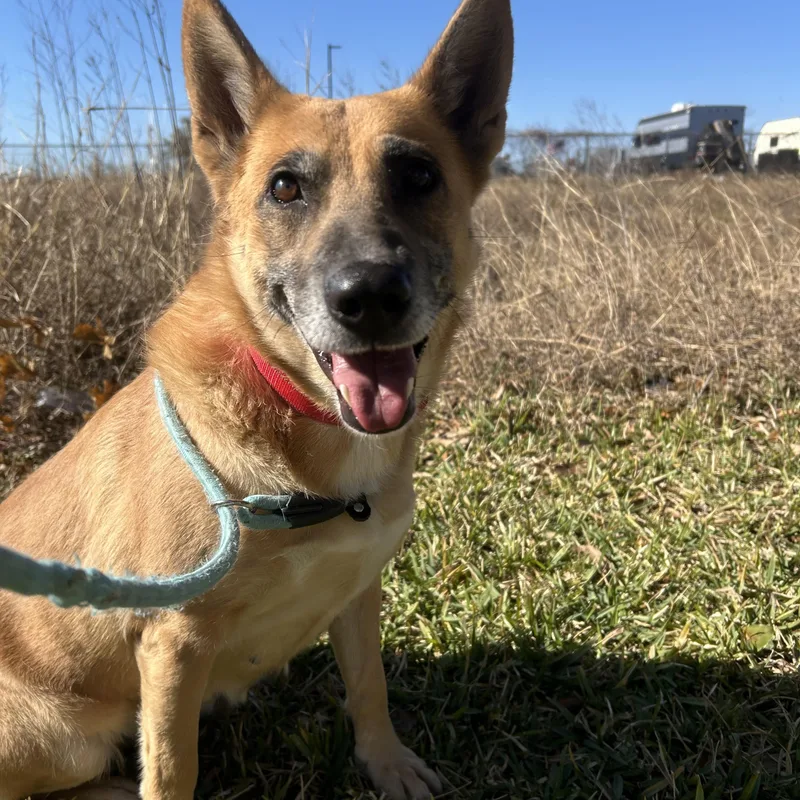 Miss Sally thumbnail 4