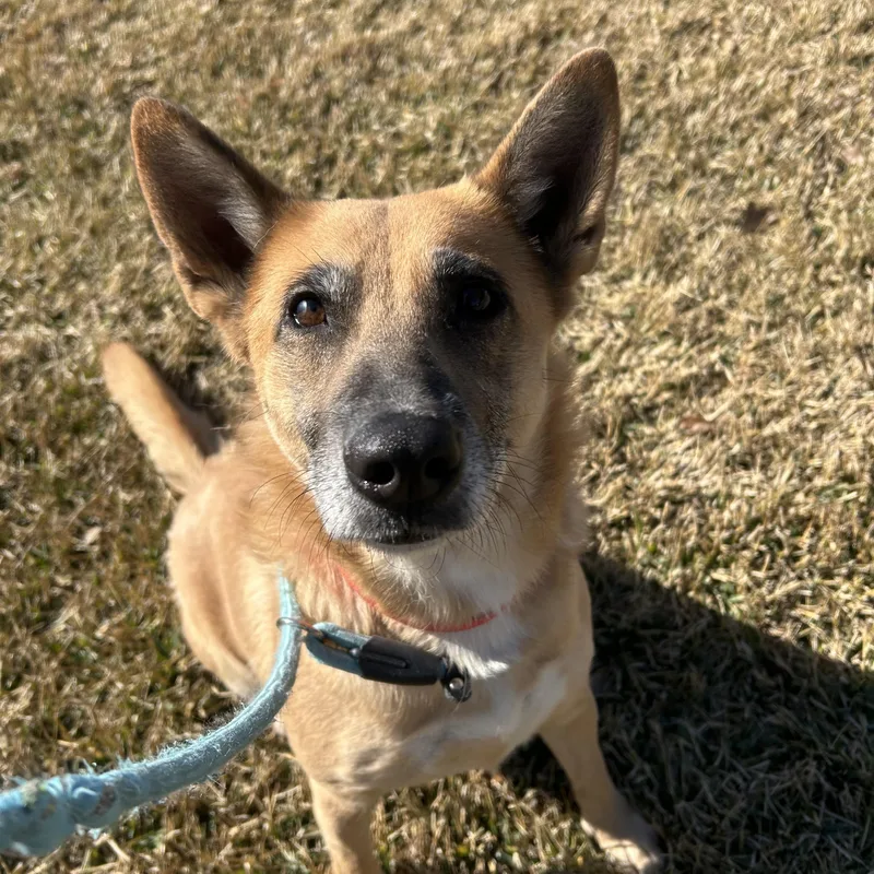 Miss Sally thumbnail 5