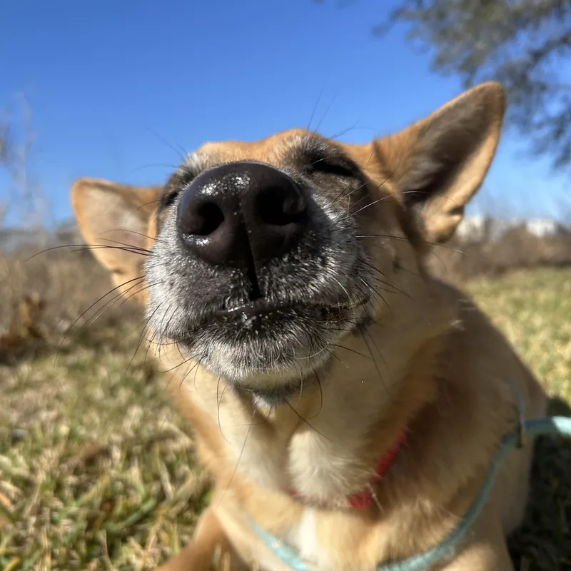 Miss Sally thumbnail 6