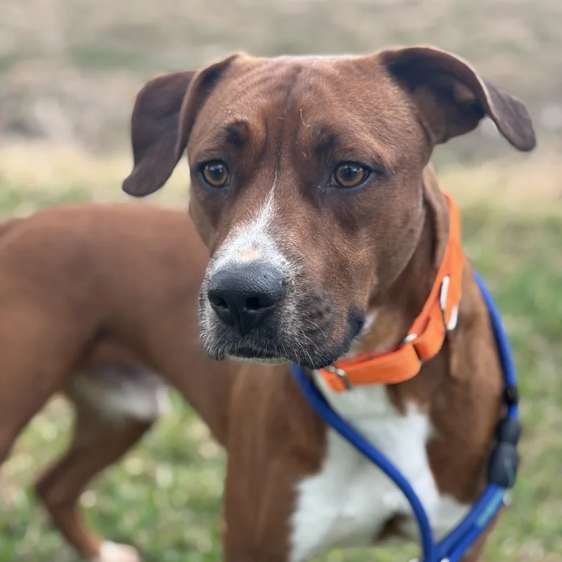 Tennessee thumbnail 2