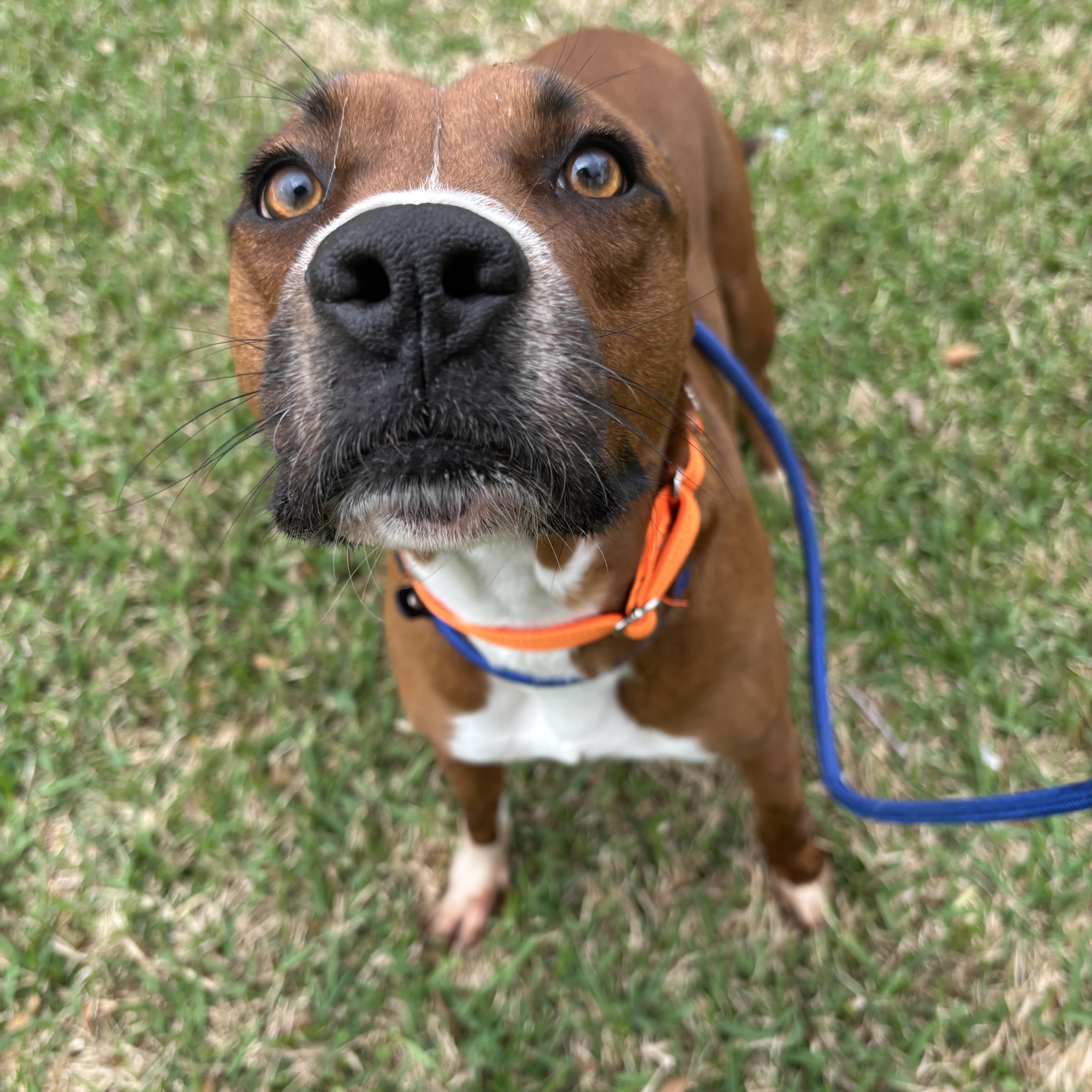 Tennessee thumbnail 4