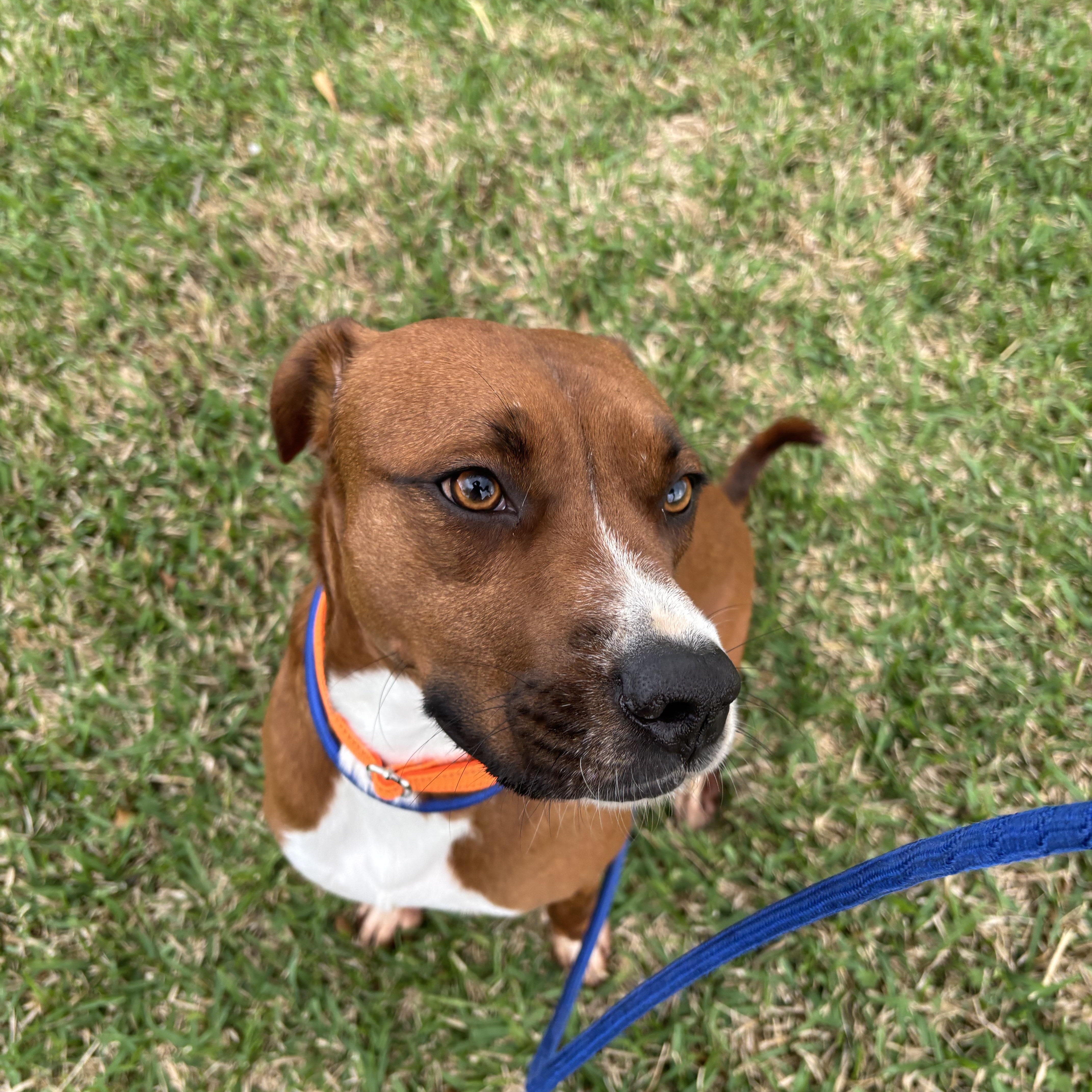 Tennessee thumbnail 5