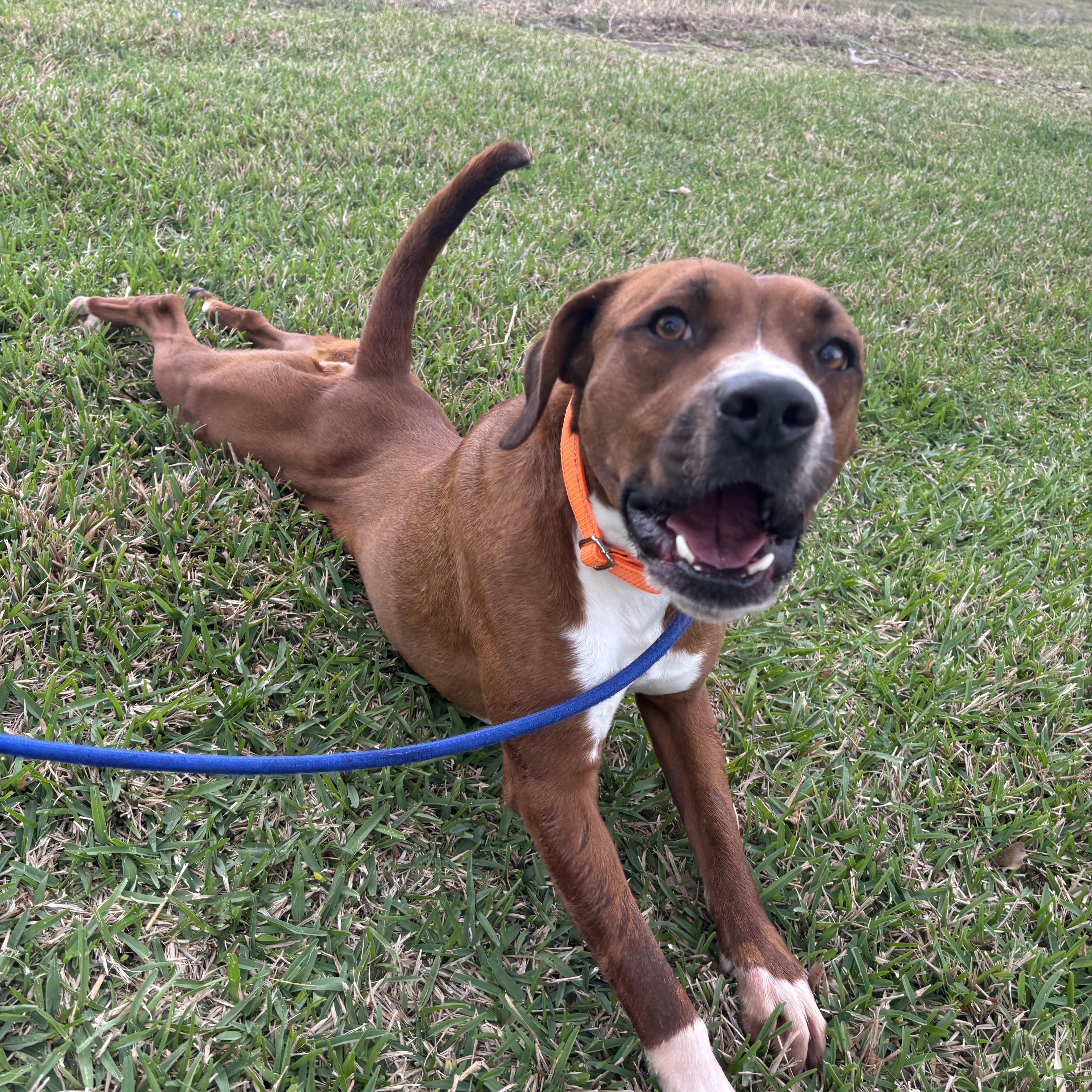 Tennessee thumbnail 6