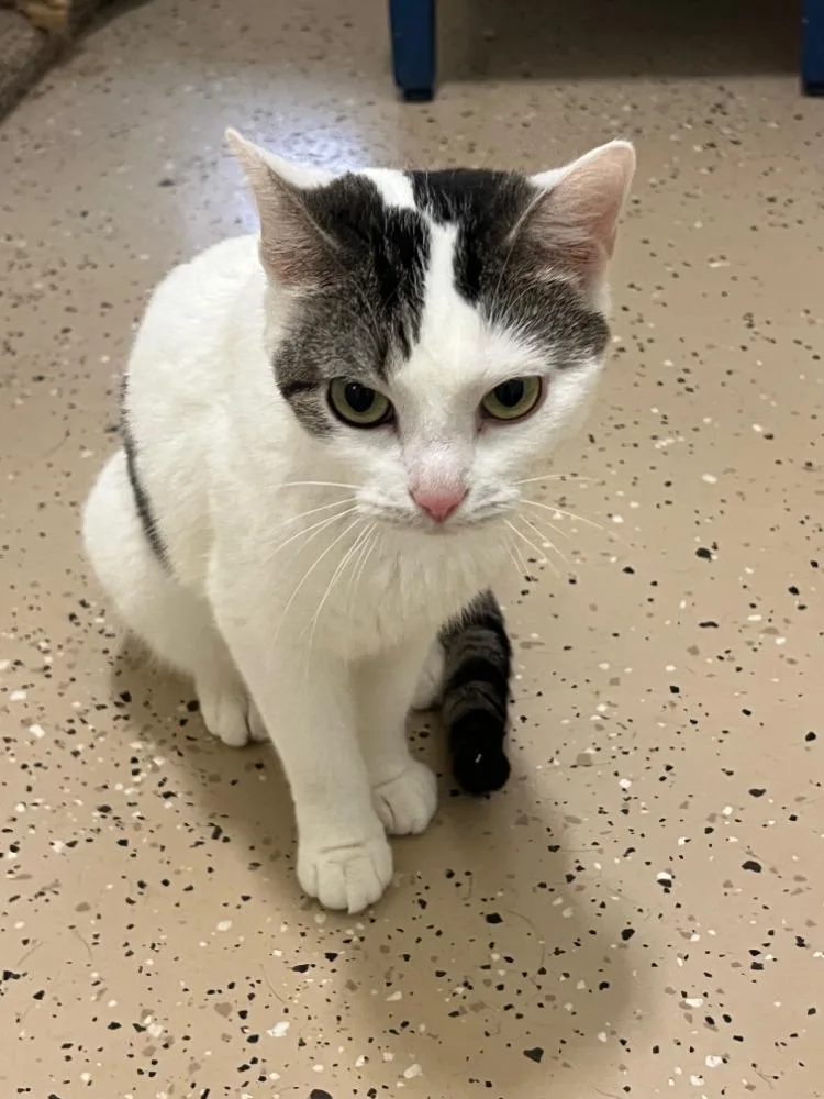 Precious thumbnail 2