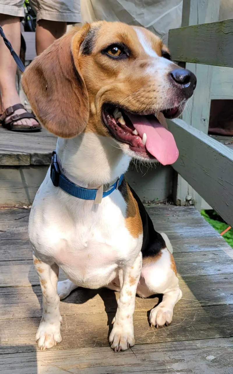 Lucy Fka Crystal thumbnail 3