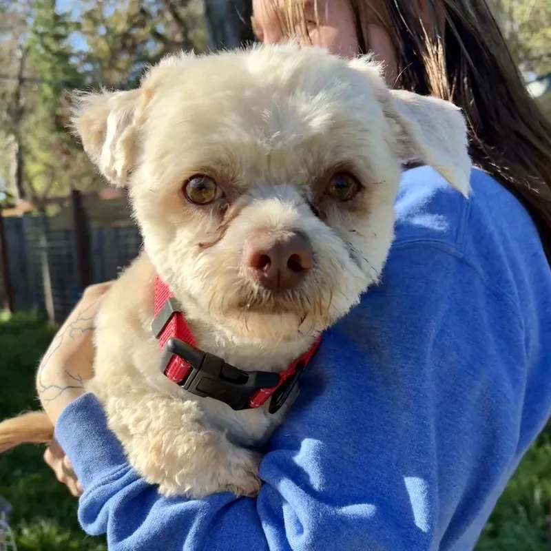 Prince William thumbnail 2