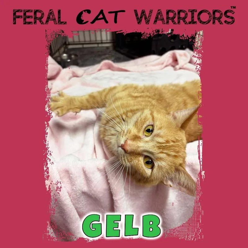 Gelb
