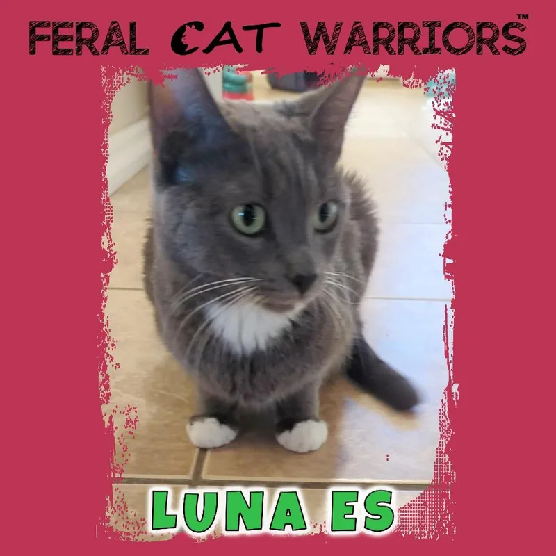 Luna Es