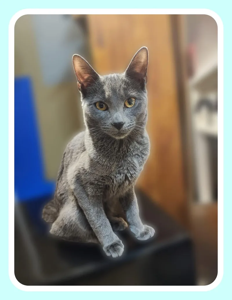 Brett  Becca & thumbnail 2