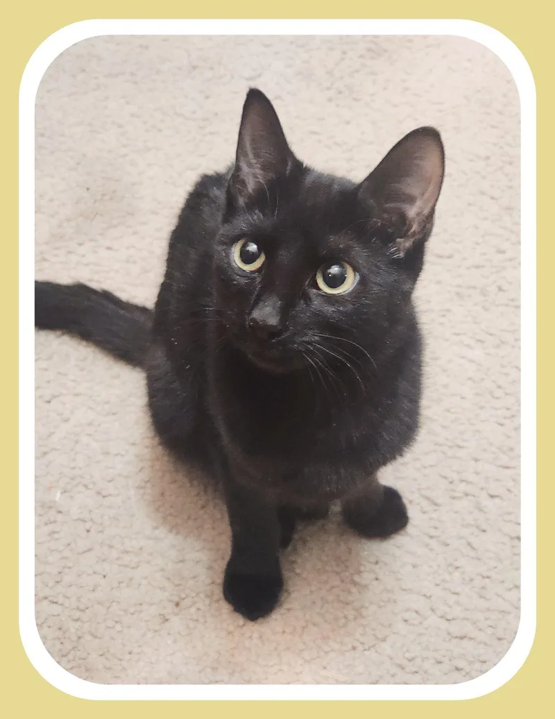 Brett  Becca & thumbnail 3