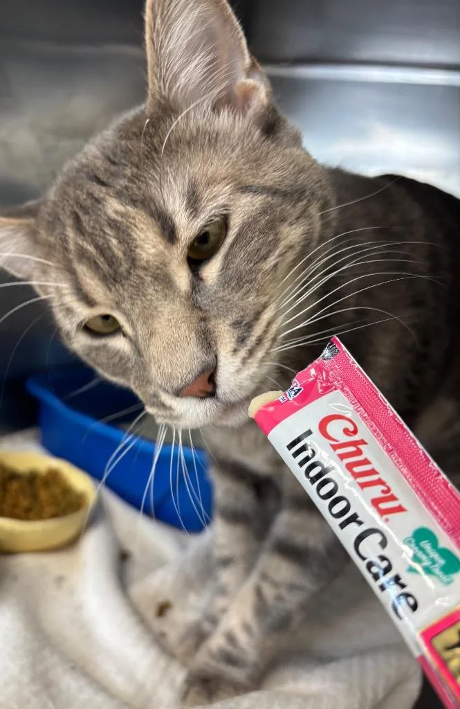 Sir Edmund thumbnail 5