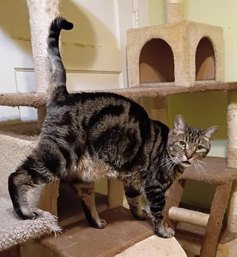 Hazel  Super Friendly!