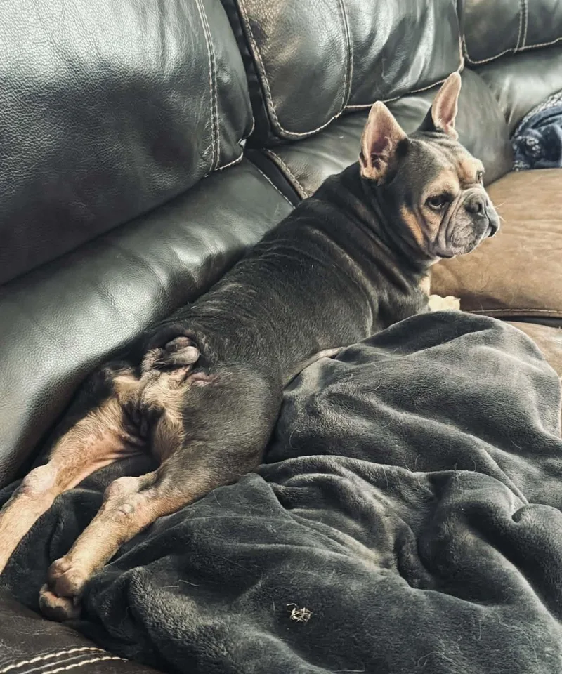 Mamacita thumbnail 3