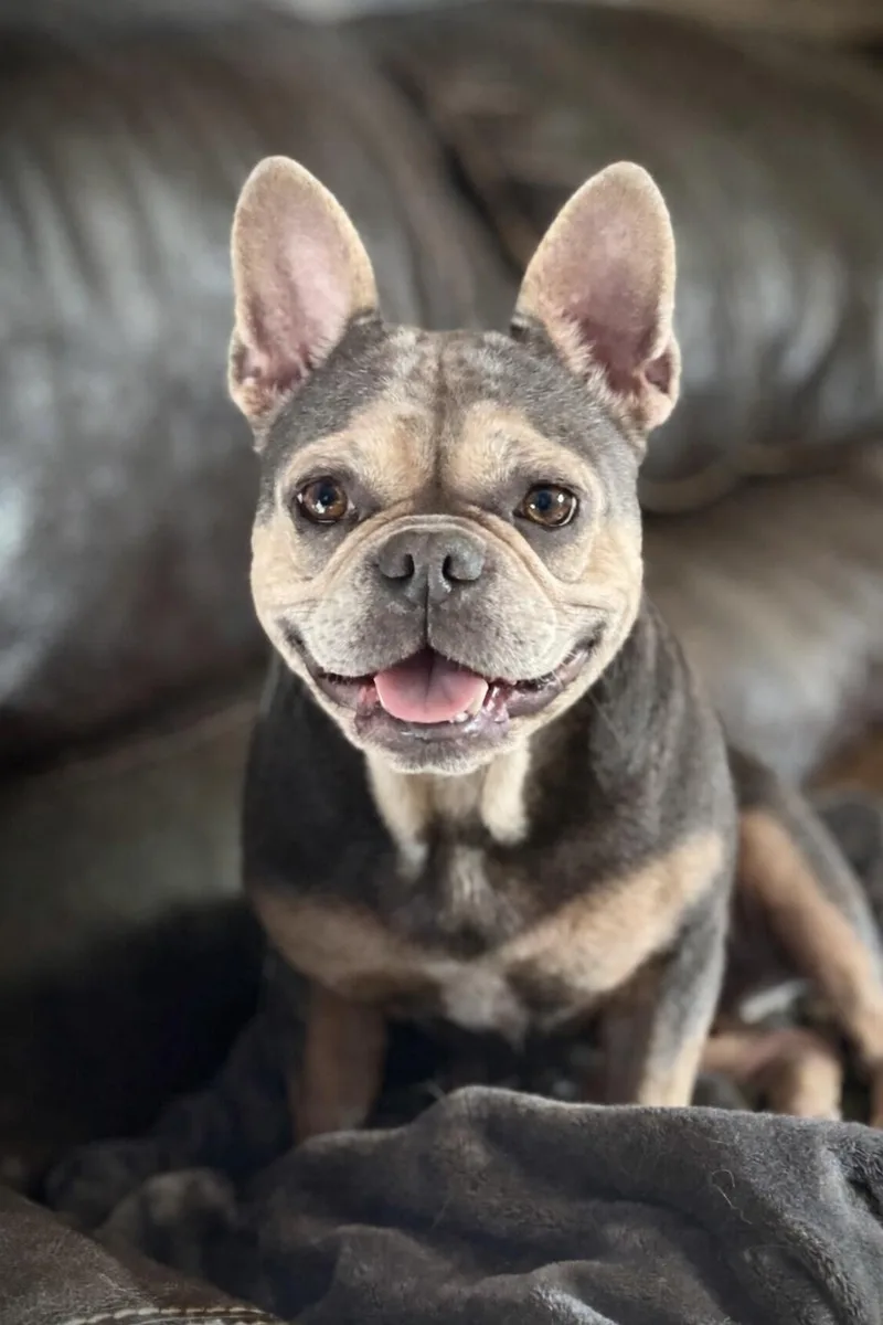 Mamacita thumbnail 4