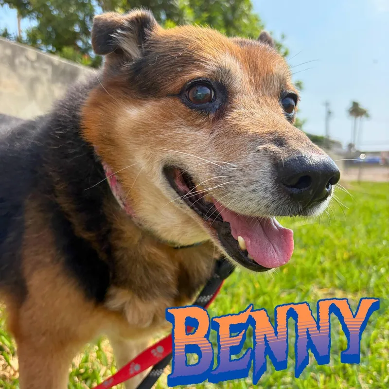 Benny