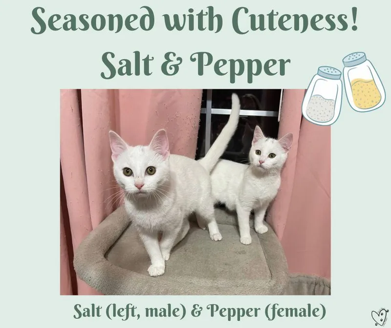 Pepper thumbnail 3