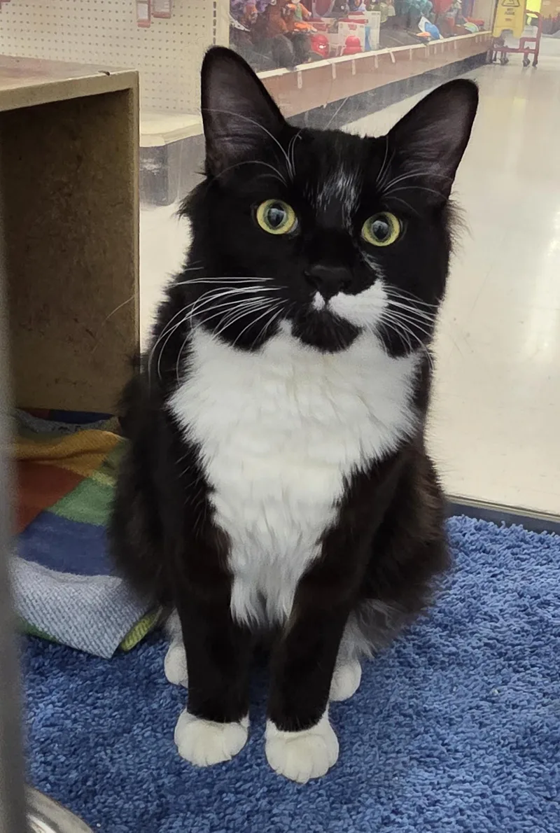 Hercules And Ky thumbnail 2