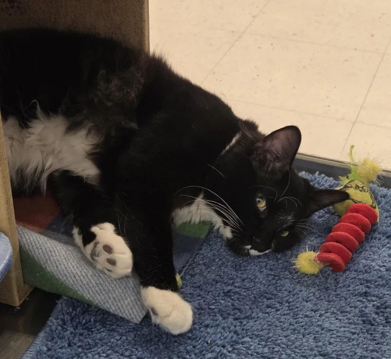 Hercules And Ky thumbnail 3