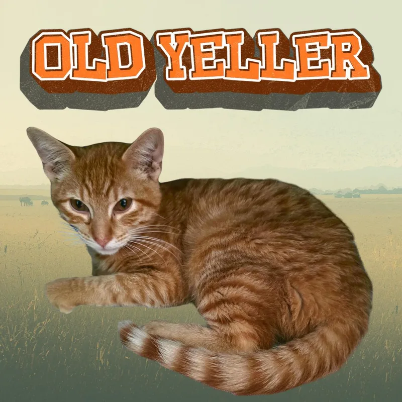 Old Yeller