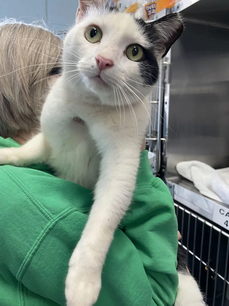 Cookie: Visit At Petsmart thumbnail 3