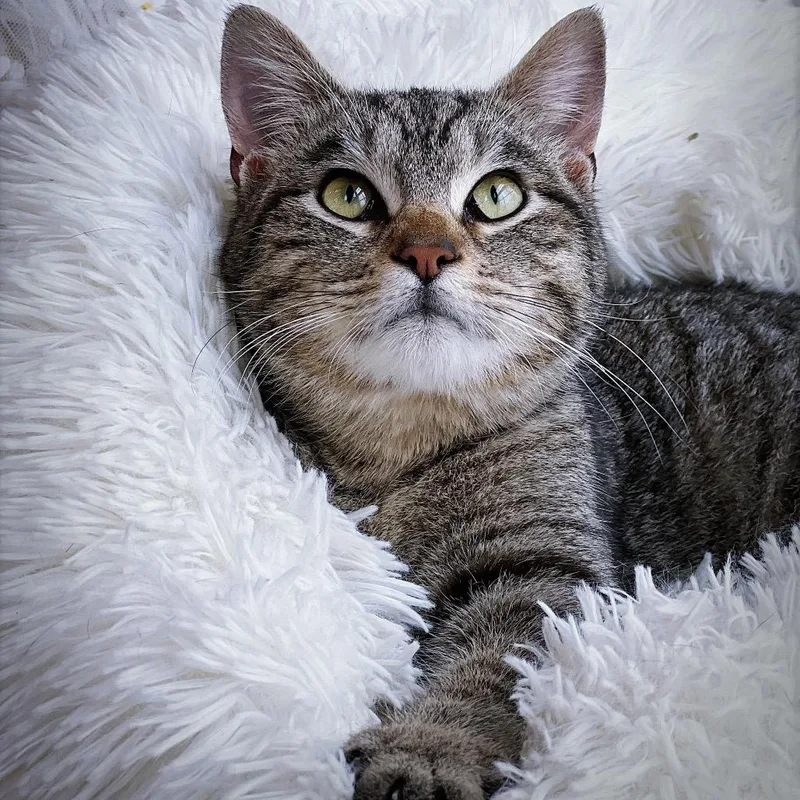 Catherine thumbnail 2