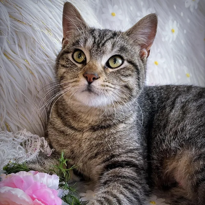 Catherine thumbnail 3