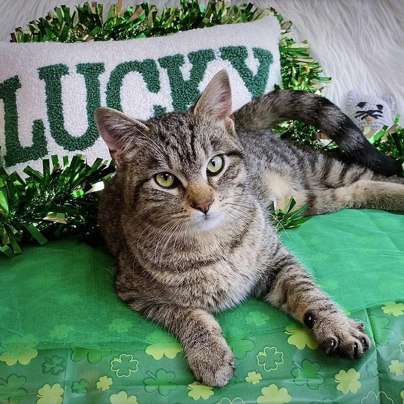 Catherine thumbnail 4