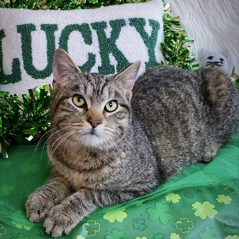 Catherine thumbnail 5