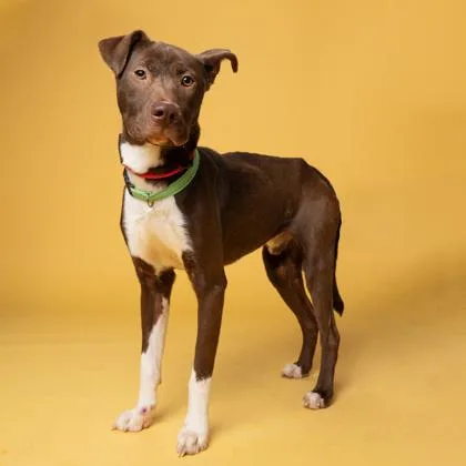 Bullseye thumbnail 2