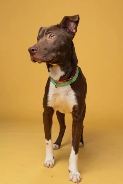 Bullseye thumbnail 3