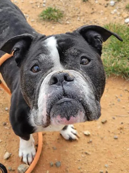 Carlotta thumbnail 3