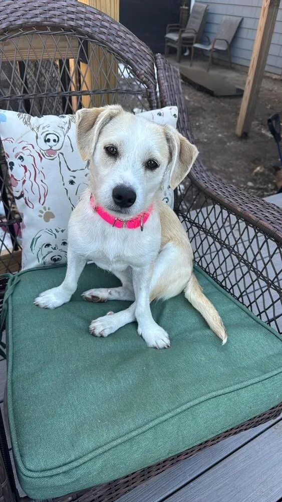 Brooklen thumbnail 2