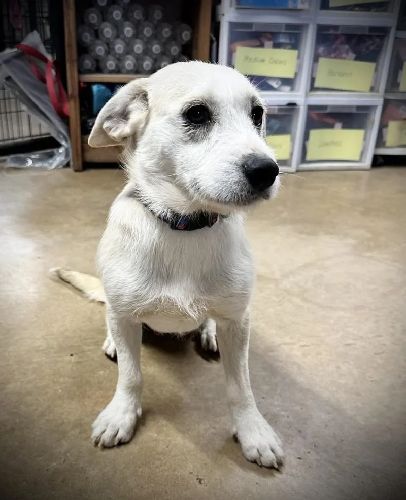 Brooklen thumbnail 4