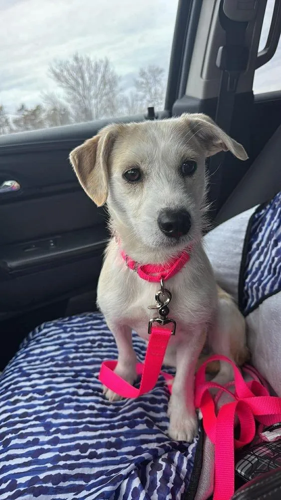 Brooklen thumbnail 5