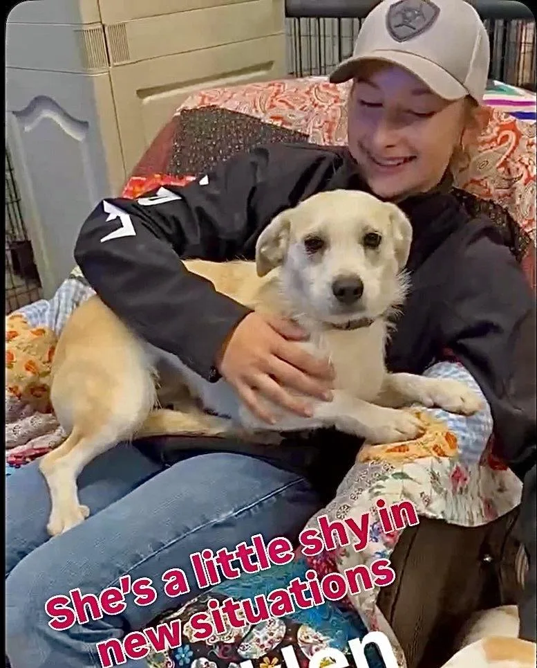 Brooklen thumbnail 6