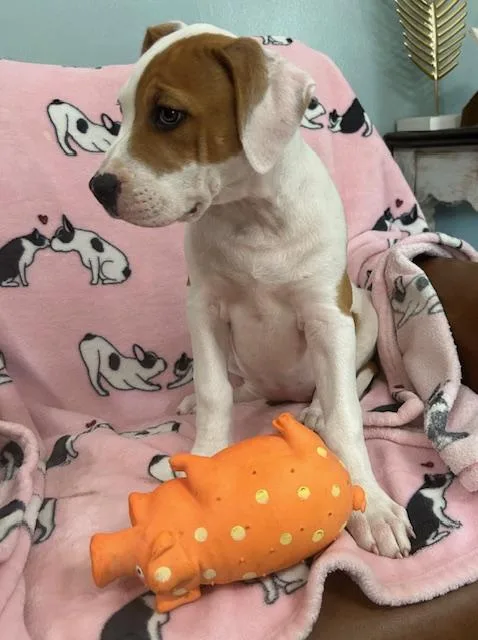 Sassy Glow thumbnail 5