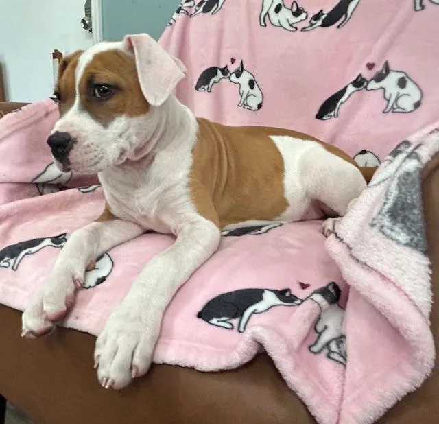 Sassy Glow thumbnail 6