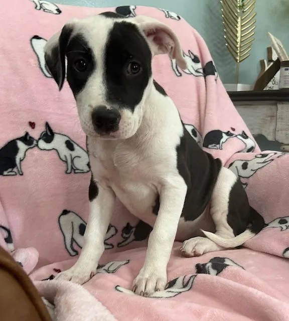 Krypto Glow thumbnail 2