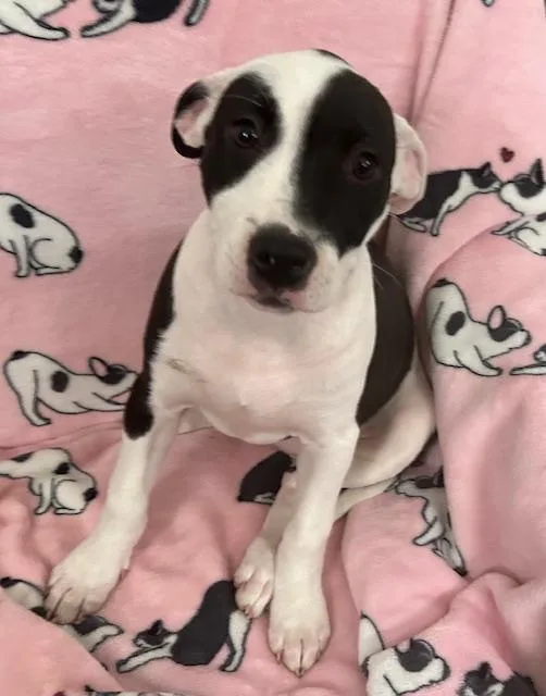 Krypto Glow thumbnail 3